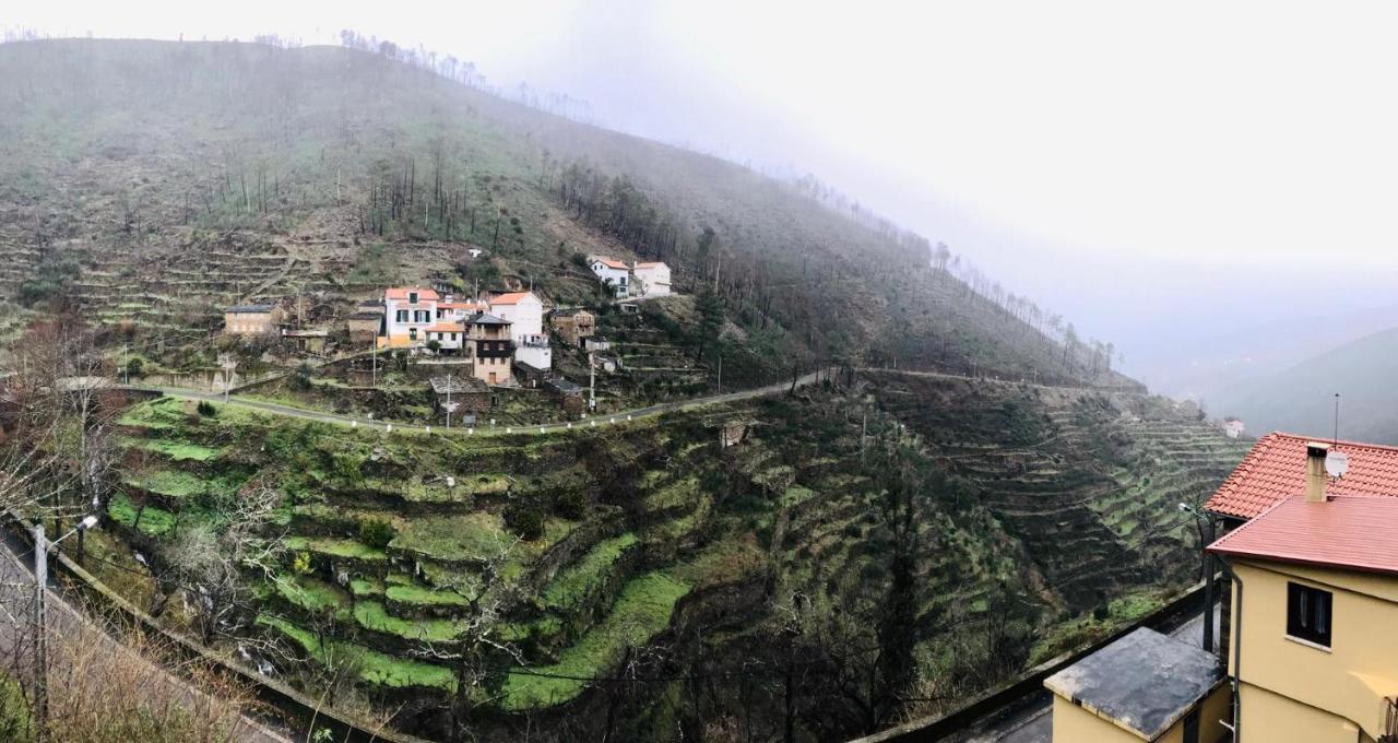 Olinda Casas Figueiras