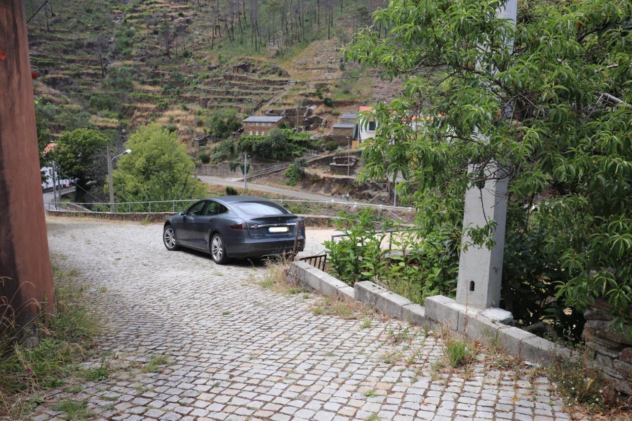 Olinda *
